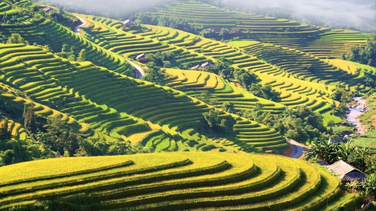 Trekking Northern Vietnam 11 Days